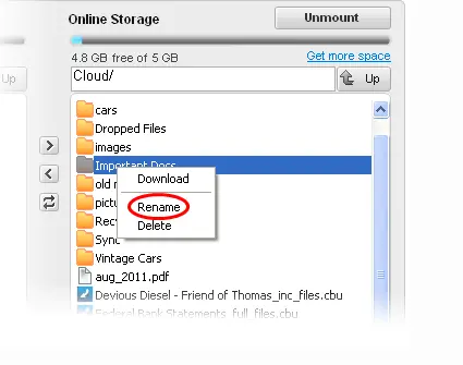 Renaming the Folder