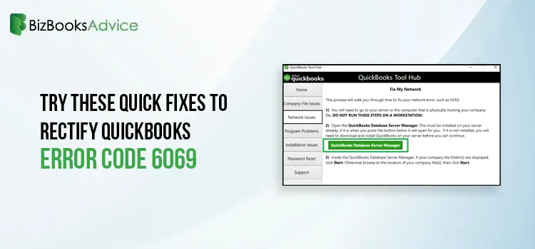 QuickBooks Error Code 6069