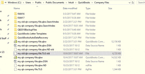 Modify-the-Names-of-the-.TLG-.ND-Files- BizBooksAdvice