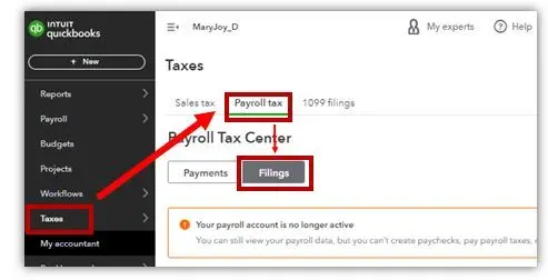Filings tab option- BizBooksAdvice