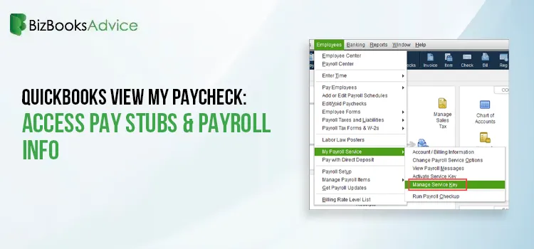 QuickBooks View My Paycheck